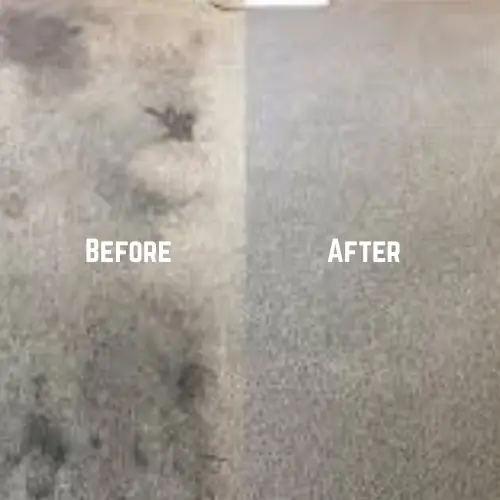 Carpet Cleaning Sevices in Dubai | The Fast Clean